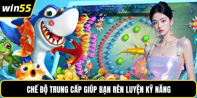 Chế độ trung cấp giúp bạn rèn luyện kỹ năng