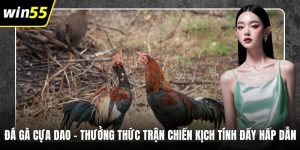 Đá Gà Cựa Dao – Thưởng Thức Trận Chiến Kịch Tính Đầy Hấp Dẫn