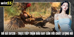 Đá Gà SV128 – Trực Tiếp Trận Đấu Gay Cấn Với Chất Lượng HD
