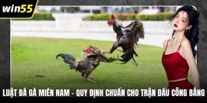 Luật Đá Gà Miền Nam – Quy Định Chuẩn Cho Trận Đấu Công Bằng