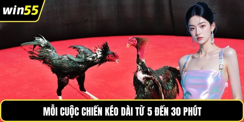 Mỗi cuộc chiến kéo dài từ 5 đến 30 phút