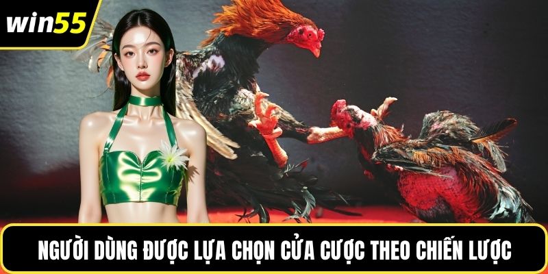 Người dùng được lựa chọn cửa cược theo chiến lược