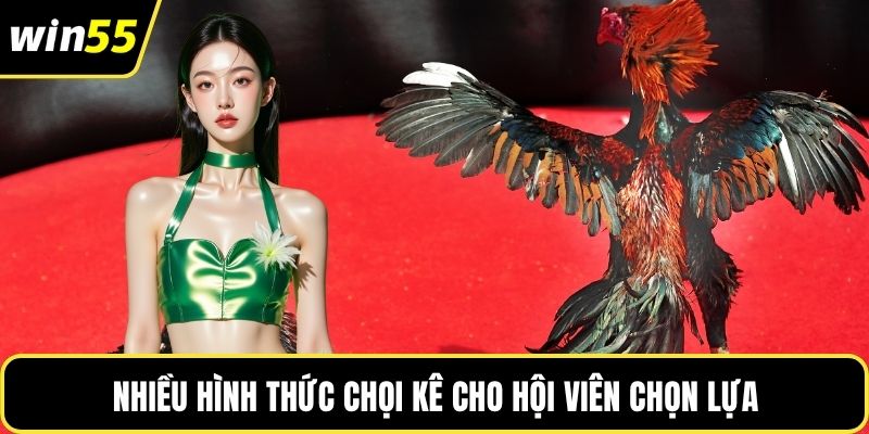 Nhiều hình thức chọi kê cho hội viên chọn lựa