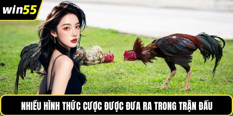 Nhiều hình thức cược được đưa ra trong trận đấu