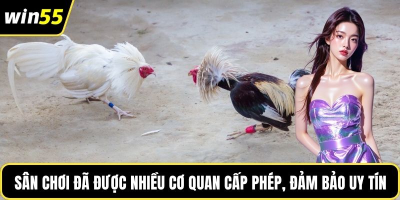 Sân chơi đã được nhiều cơ quan cấp phép, đảm bảo uy tín